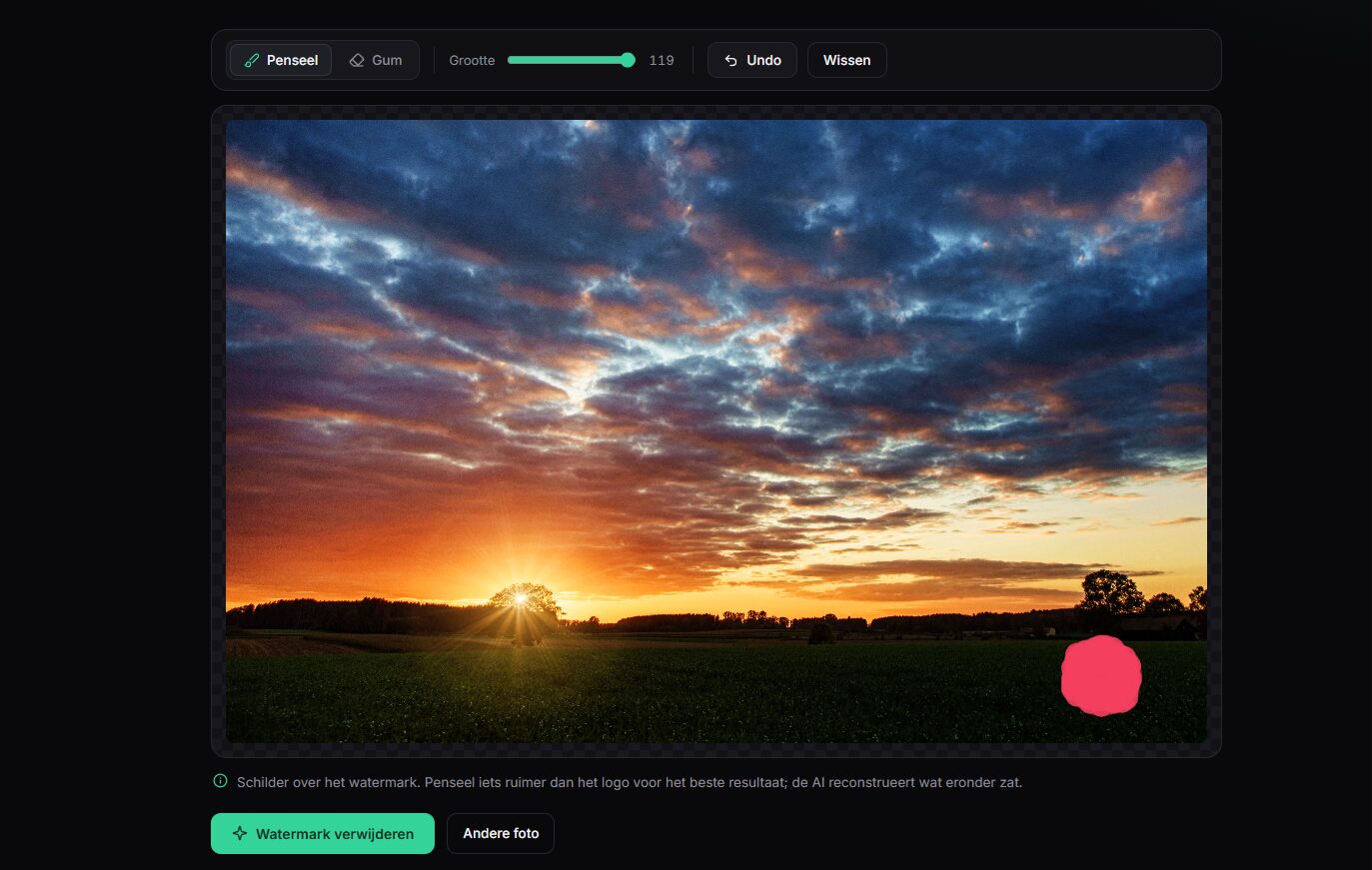Watermark Remover editor met foto
